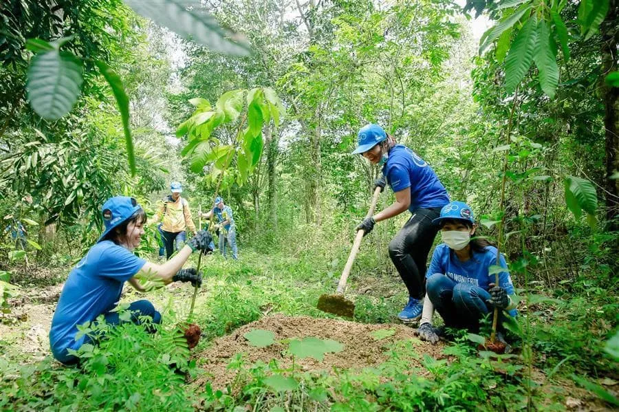 Trồng rừng góp phần bảo vệ môi trường sống xanh, sạch và phát triển bền vững