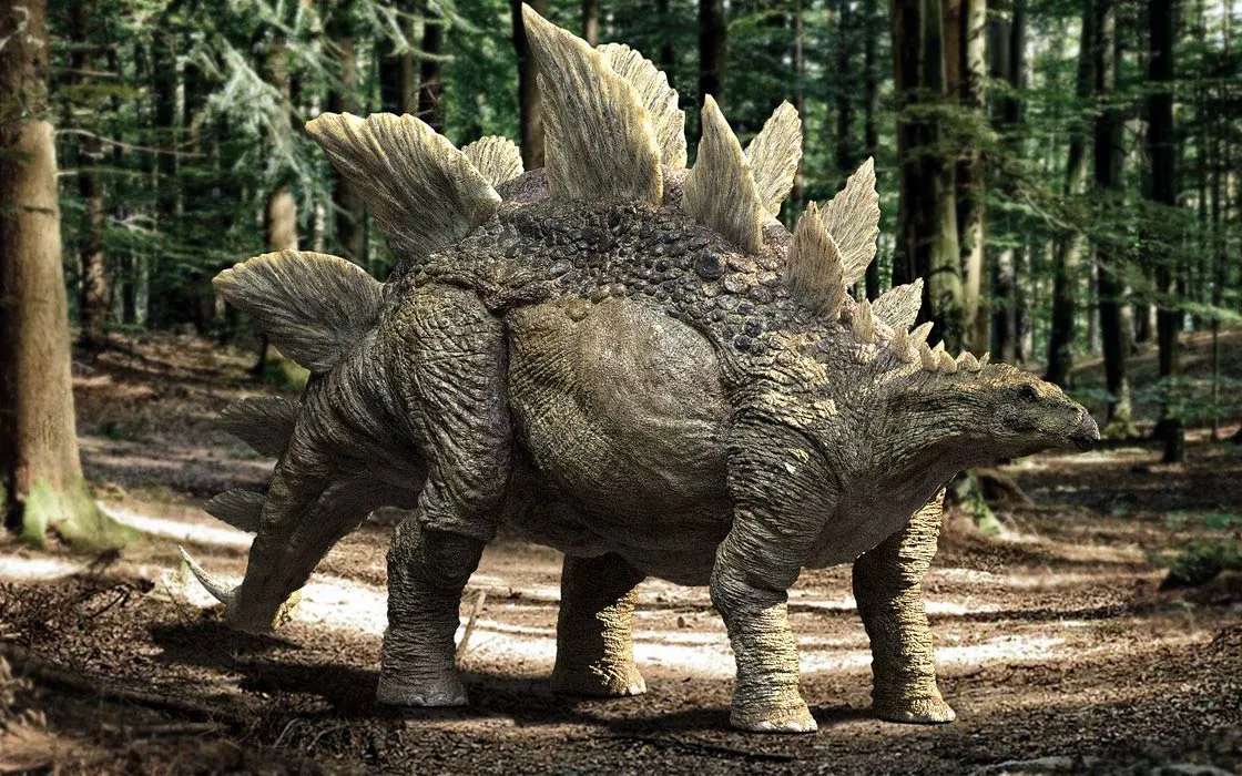 Stegosaurus