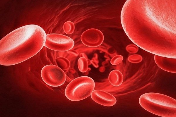 Tại sao cơ thể mất máu thì huyết áp giảm ?